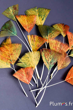 Pétales en plumes - 6-8 x 3-4 cm - automne 